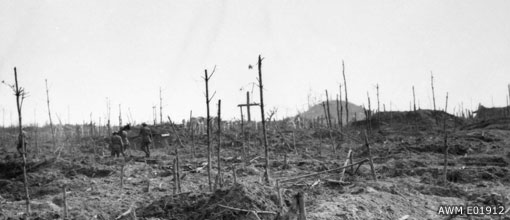 Polygon Wood intro picture