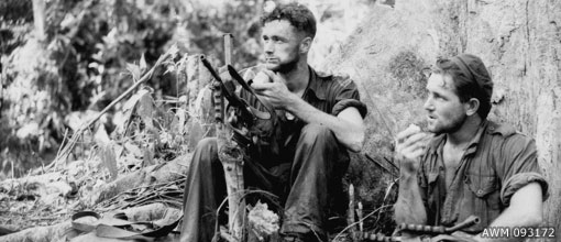 Bougainville intro picture